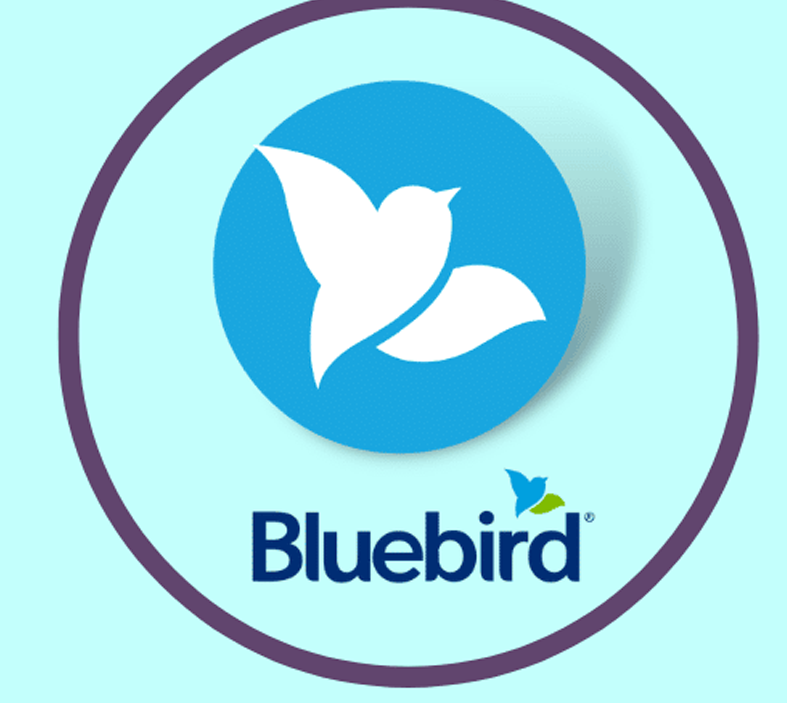 Buy Bluebird bank 2 year aged Account + VCC Buy Bluebird bank 2 year aged Account + VCC