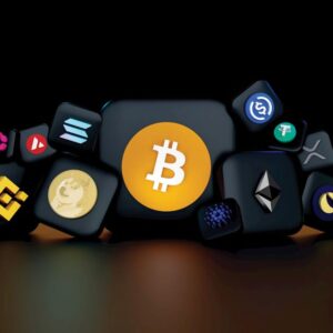 Cryptocurrency Stealer Software